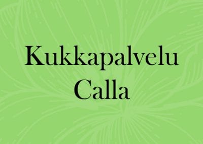 Graafinen suunnittelu, Keski-Suomi Jyväskylä