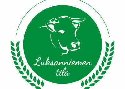 Logon suunnittelu Jyväskylä