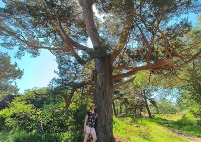 Nainen seisoo männyn juurella.